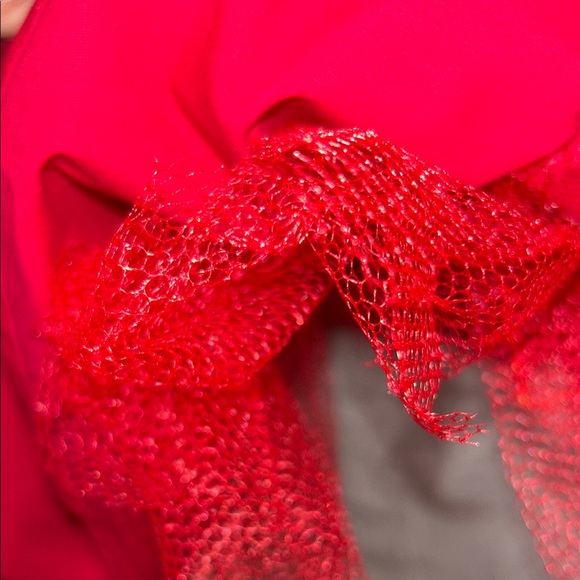Red Poodle Skirt - Picture 6 of 8